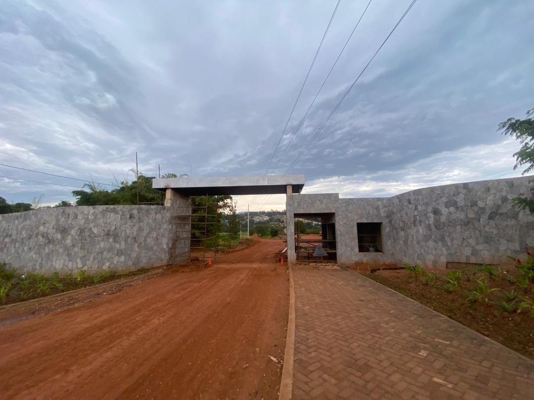 From Industrial Hub to Eco-Paradise: The Gikondo Wetland Transformation